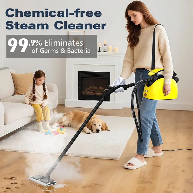 Steam Cleaner portable