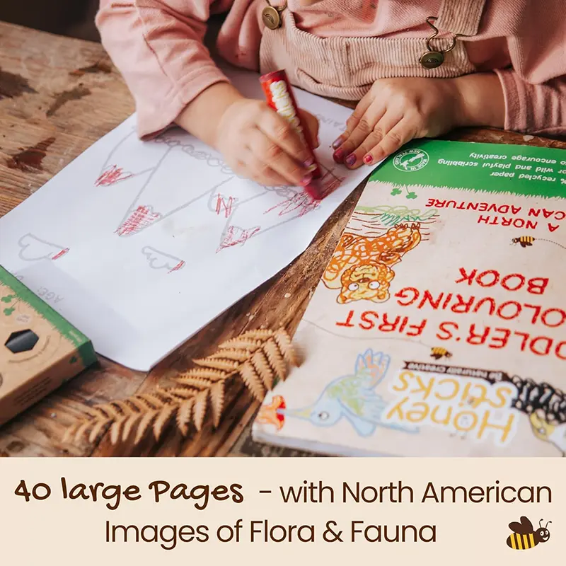 Honeysticks first Colouring Book