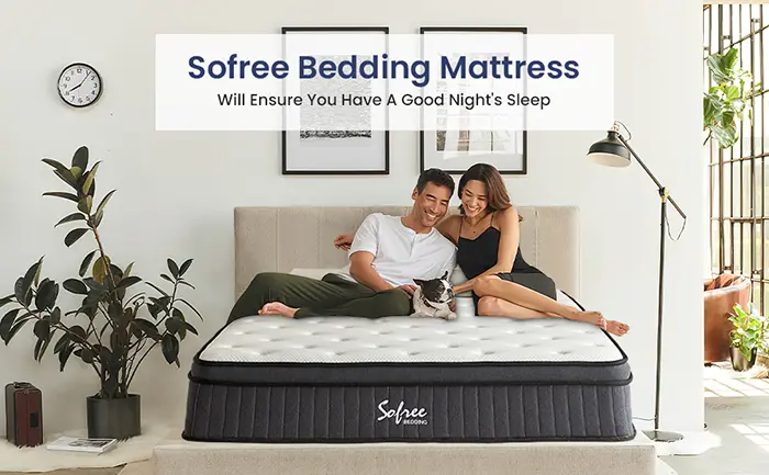 Sofree bedding Full Mattresses