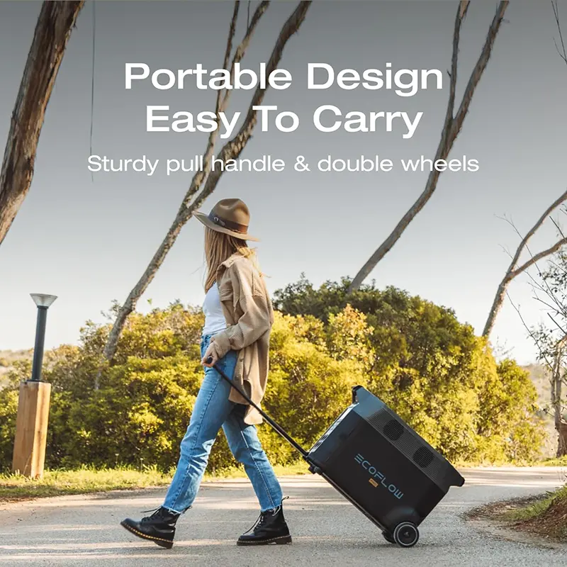 EcoFlow DELTA Pro portable power station review