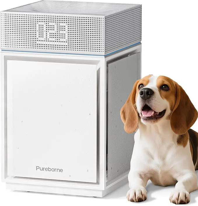 Large Room Air Purifier with PM2.5 Display review
