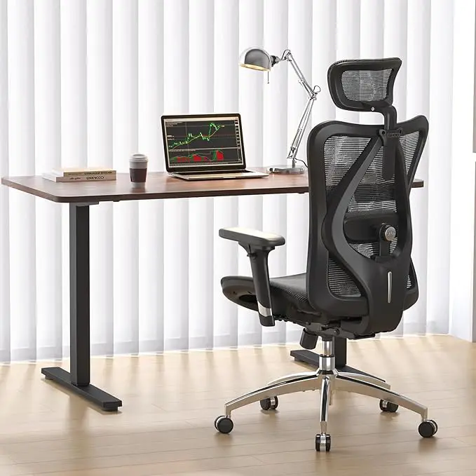 ergonomic office chair with lumbar support review