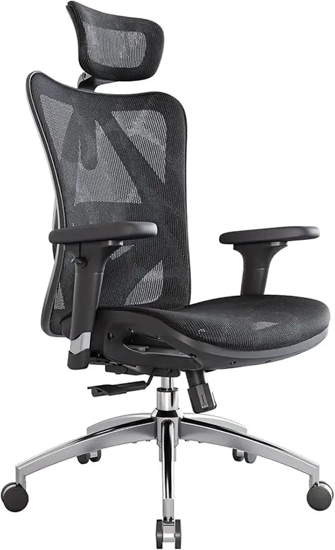 ergonomic office chair with lumbar support review