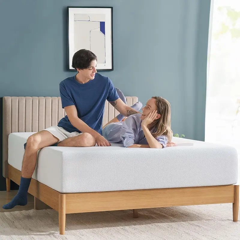 Zinus Queen Mattress Review